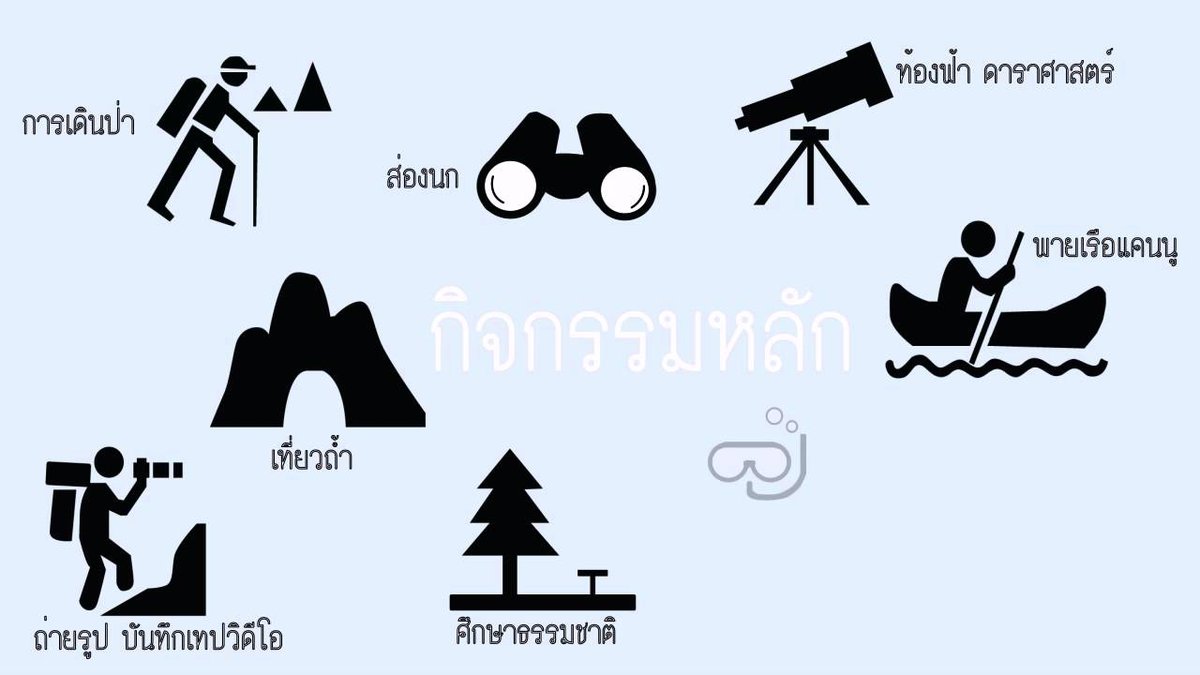 Ecotourism and Responsible Bear Observation Promote Wildlife Conservation